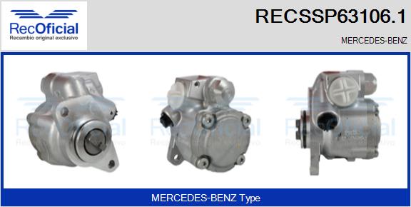 RECSSP63106.1