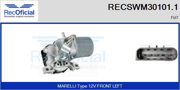 RECSWM30101.1