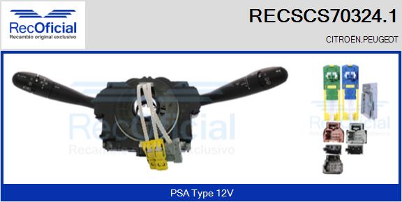 RECSCS70324.1