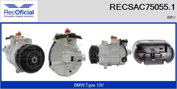RECSAC75055.1