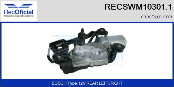 RECSWM10301.1