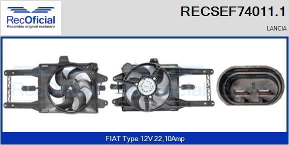 RECSEF74011.1