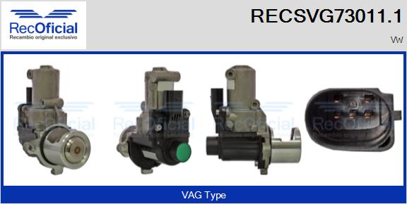 RECSVG73011.1