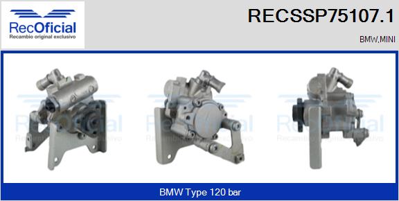 RECSSP75107.1