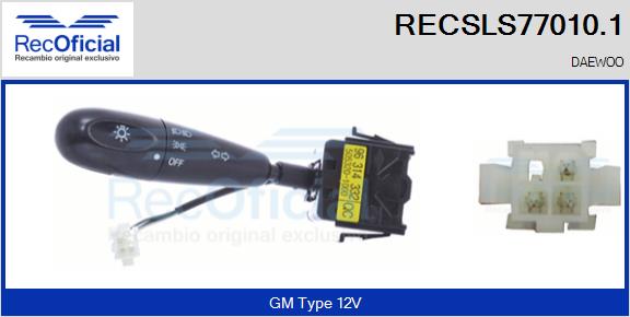 RECSLS77010.1