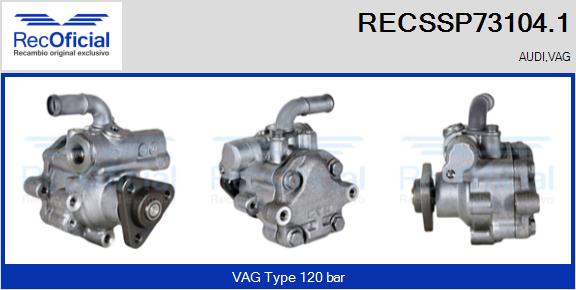 RECSSP73104.1