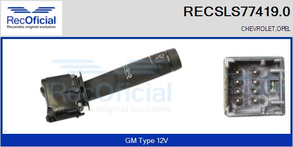 RECSLS77419.0