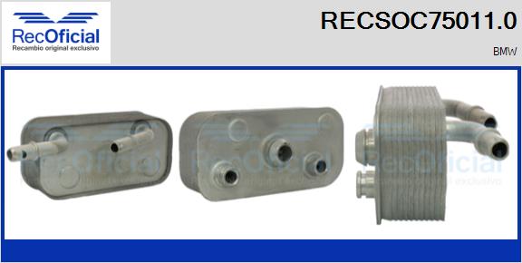 RECSOC75011.0