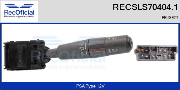 RECSLS70404.1