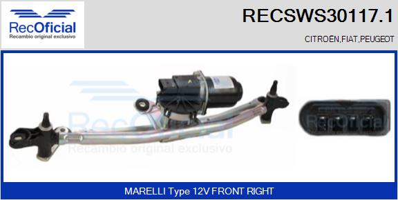 RECSWS30117.1