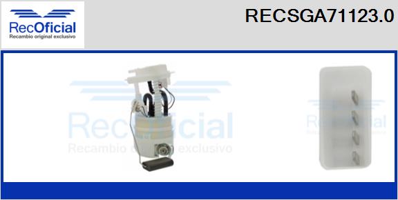 RECSGA71123.0