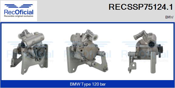 RECSSP75124.1