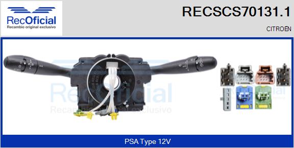 RECSCS70131.1