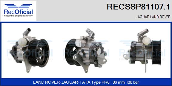 RECSSP81107.1