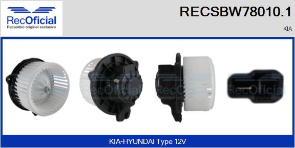 RECSBW78010.1