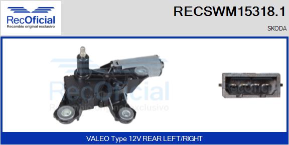 RECSWM15318.1