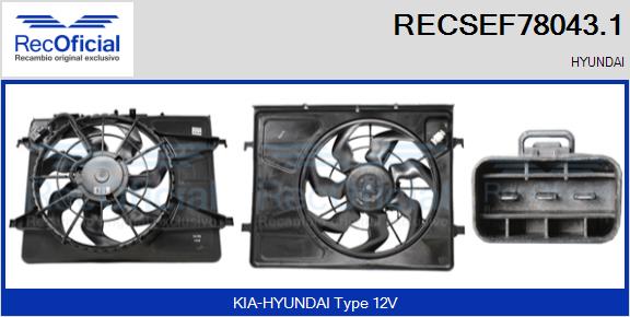 RECSEF78043.1