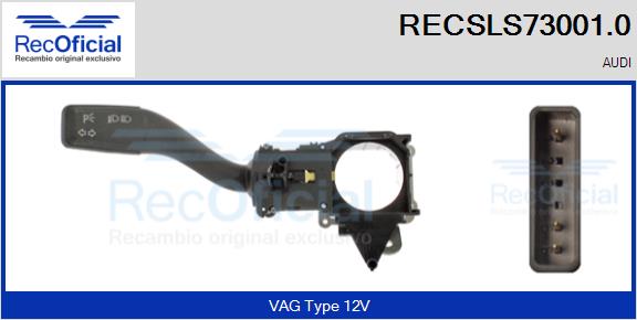 RECSLS73001.0