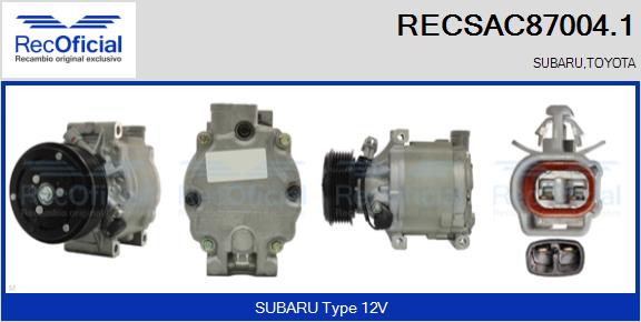 RECSAC87004.1
