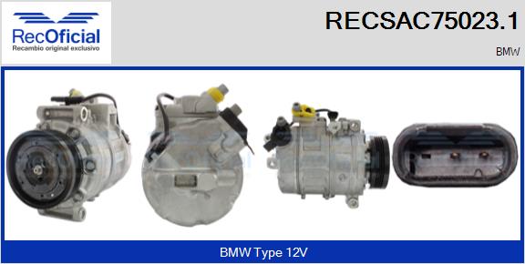 RECSAC75023.1