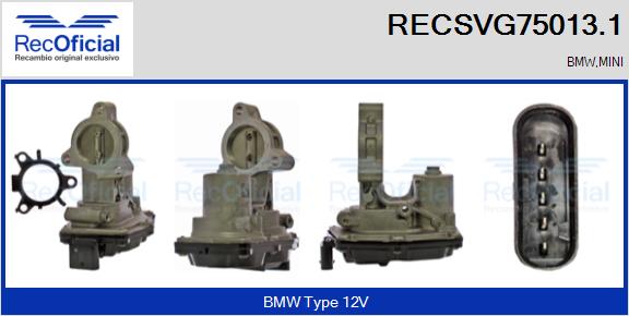 RECSVG75013.1