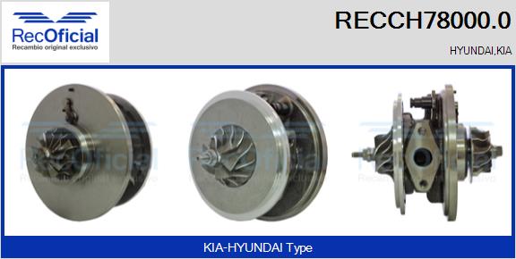 RECCH78000.0