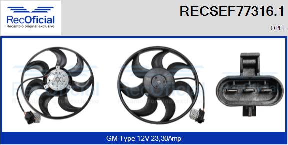 RECSEF77316.1
