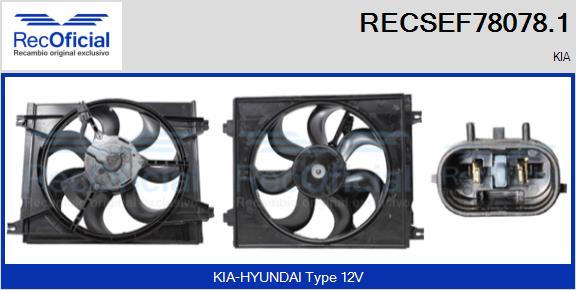 RECSEF78078.1