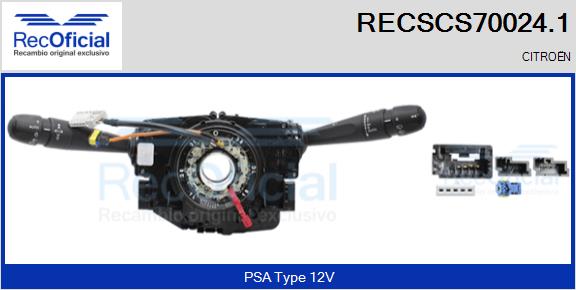 RECSCS70024.1