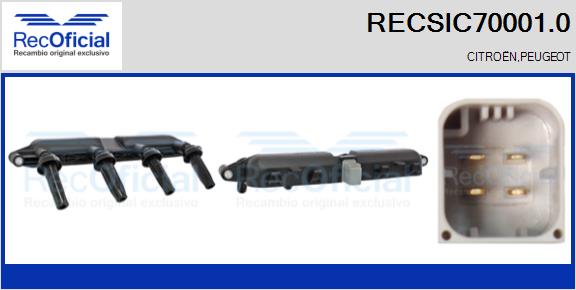RECSIC70001.0