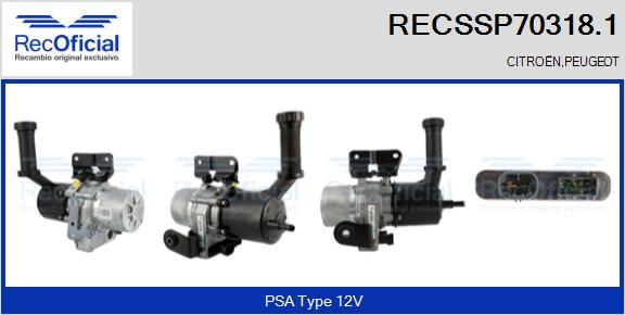 RECSSP70318.1