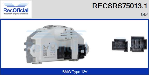 RECSRS75013.1
