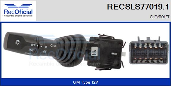 RECSLS77019.1