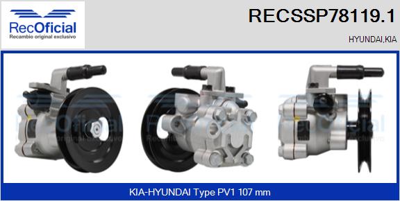 RECSSP78119.1