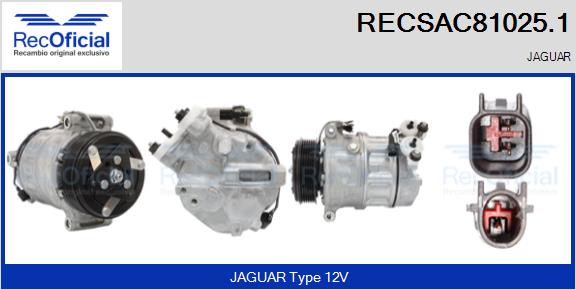 RECSAC81025.1