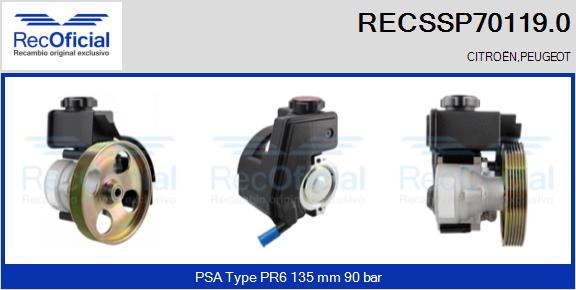 RECSSP70119.0