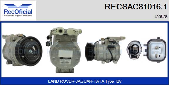 RECSAC81016.1