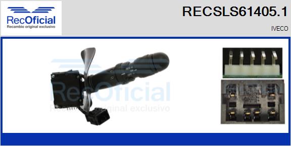 RECSLS61405.1