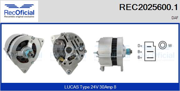 REC2025600.1