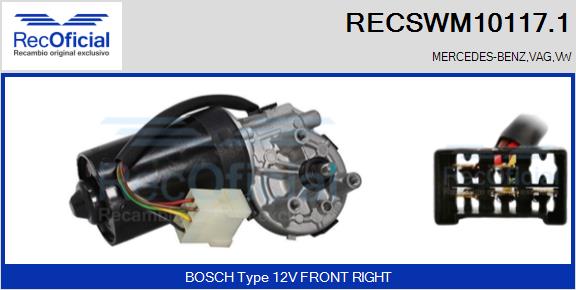 RECSWM10117.1