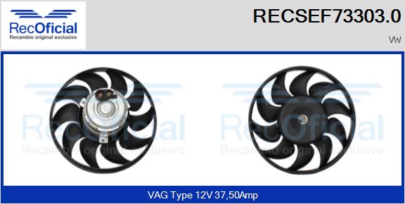RECSEF73303.0