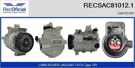 RECSAC81012.1