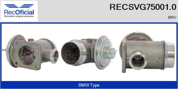 RECSVG75001.0