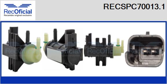 RECSPC70013.1
