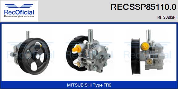 RECSSP85110.0