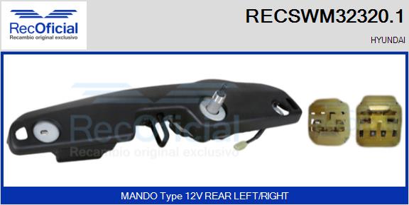 RECSWM32320.1