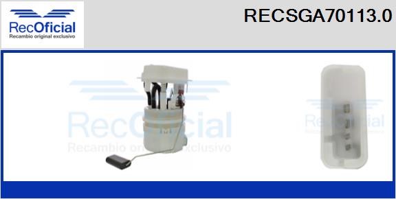 RECSGA70113.0