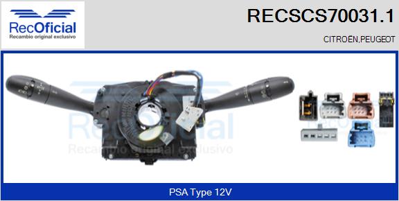 RECSCS70031.1