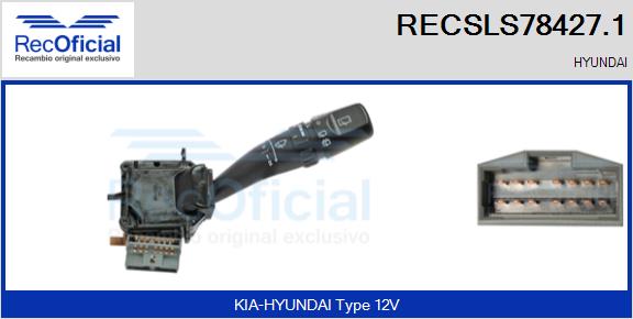 RECSLS78427.1