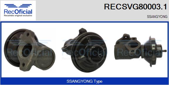 RECSVG80003.1